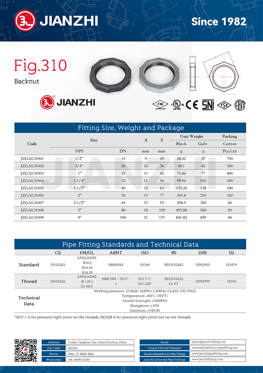 GI Fittings Pipe Back Nut Fig.310