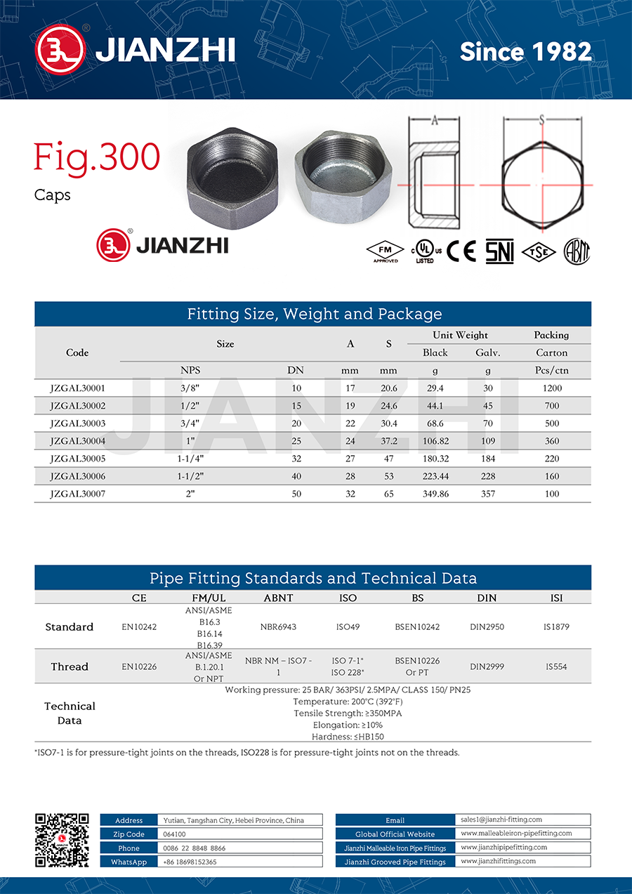 Galvanized Pipe Fittings Hexagon Cap Fig.300